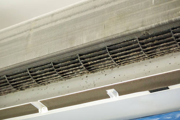 Best Residential Air Duct Cleaning  in Grand Point, LA